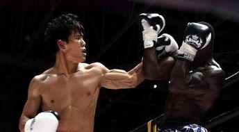 拳王猛虎在线观看,激战巅峰，热血沸腾的在线对决  第2张